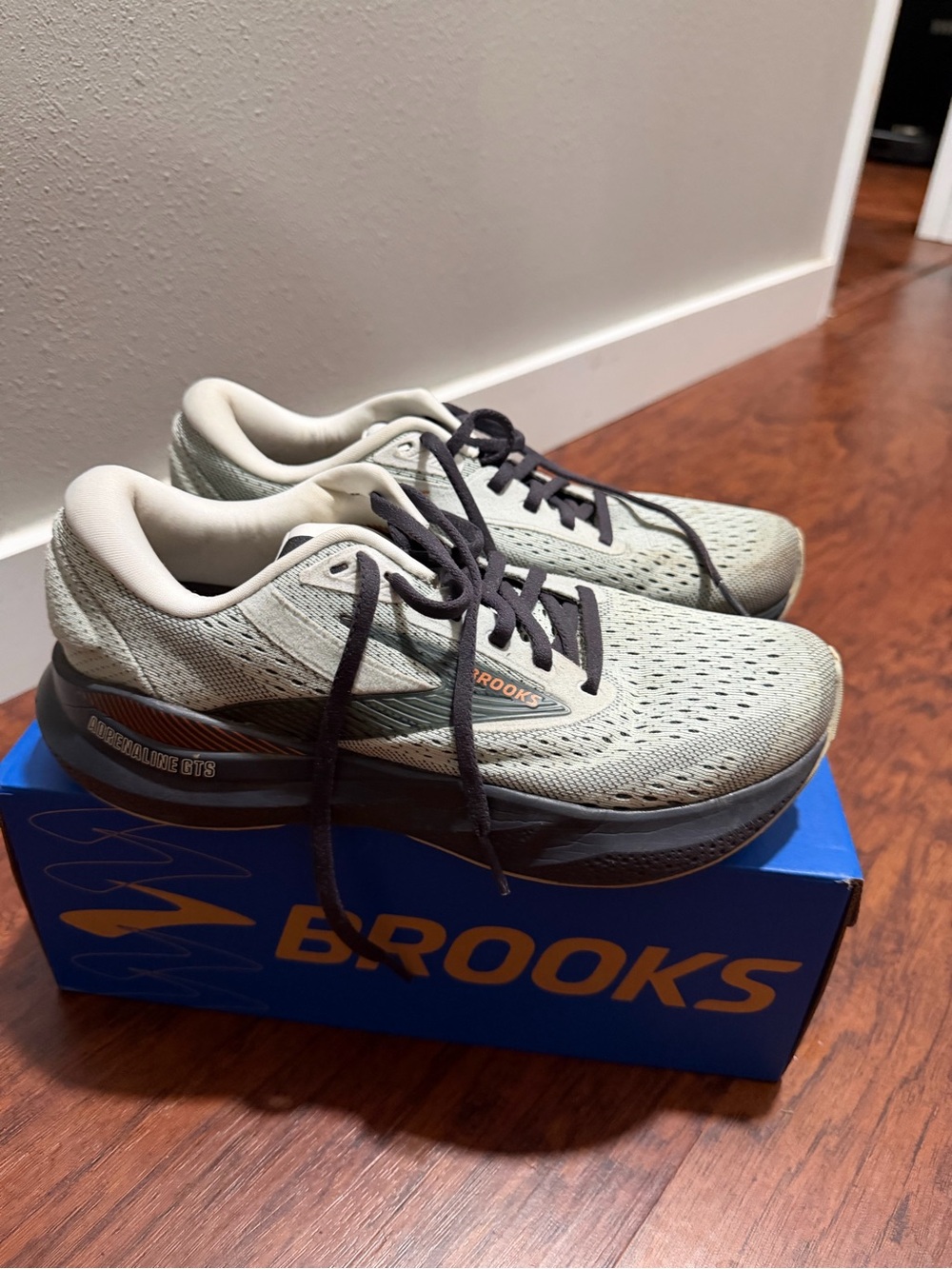 Brooks Adrenaline GTS 24 (Size 8 Women’s)